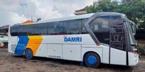 Damri Layani Bus Trayek Jawa Bali Tarif Mulai Rp P Tel