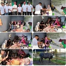 Photo of Kurban Satu Ekor Sapi P2Tel Cepu